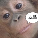 하이;지수