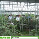 대학농장 이미지