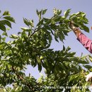 유구농장 이미지