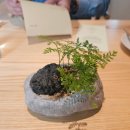 통일청란 | [서울 양재] 2026미슐랭 후제 팜투테이블 보물같은 가심비 강남 파인다이닝추천 런치 예약 가격 내돈내산