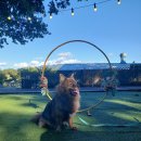 몽드드뚜뚜 이미지