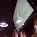 목동포차 이미지