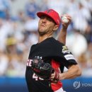 네일은 마니아타임즈