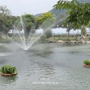 계정횟집 이미지