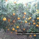 정우네농장 이미지