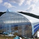 오가네 농장 이미지