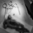 고척 원 동물의료센터 이미지