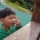 대봉약수터 이미지