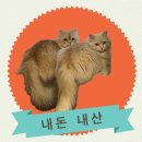 잔다냥 이천점 네이버블로그