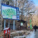 영동군 관광안내소 이미지