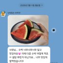 (26.05.28)26년 선보인 수박 중 one of the best 최고 당도 흑수박_17브릭스+로 돌아왔습니다 ^^