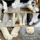 봉덕서원 | [블챌]처음부터 끝까지 미라클이었다.