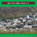 내곡연두 이미지