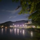 푸른수목원 | 동네바리 푸른수목원 맨날가는 후기