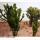 덕평공룡수목원 이미지