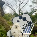 제주가든 이미지