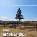 해비치목장 | 제주도 아이와 승마체험 목장 카페 밭디 후기