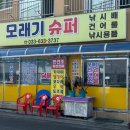 일산정육점&#34;,&#34;한우선물세트&#34;,&#34;한우이바지&#34; 전문 ~호둥이의 속초 장사항 선상낚시 &#34;모래기호&#34; 리얼 후기 !