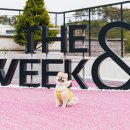 더위크앤리조트(더우프앤) 이미지