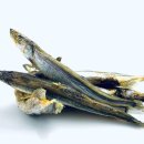 토담스펫 이미지