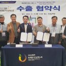 영남인삼