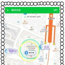 그린헤어아트 이미지