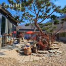 소나무민박 이미지