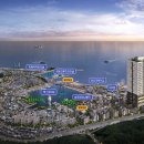 스테이 하운드 이미지