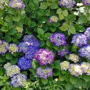 한창목장 이미지