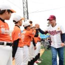 향남 야구장 야구장 이미지