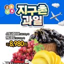 탑마트 - 서귀포시 | 탑마트