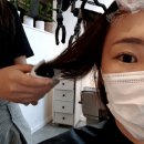 보배헤어클럽