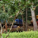 송정자연휴양림 이미지