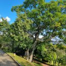 문충공 퇴헌 정천익 이미지