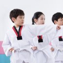 동아대 고려태권도장 이미지