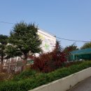 대성초후문 이미지