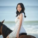 애마