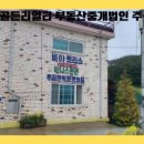 비아트리스테니스펜션 이미지