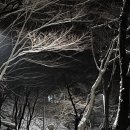 아트세빈 이미지