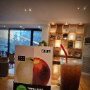 종로-신교-종로-신-298 | 성해나의 <혼모노>를 읽고(2025.8.14.)