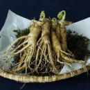 다올한의원 이미지