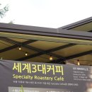 카페이루아