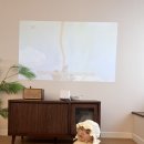 느릿느릿 김녕집 이미지