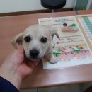 서서울동물병원 이미지