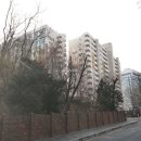 서초중앙공인중개사사무소 이미지