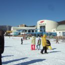 휘닉스파크 이미지