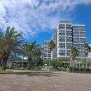 서호동-50 이미지