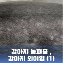과천우주동물병원 이미지