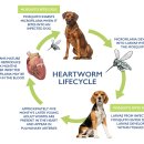 파트너 동물의료센터 이미지