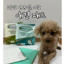 굿케어요양병원 | 애견 배변 패드로 사용 가능한 위생깔개매트